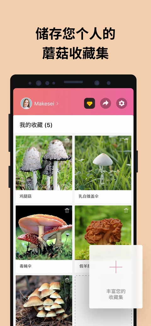 蘑菇识别截图1