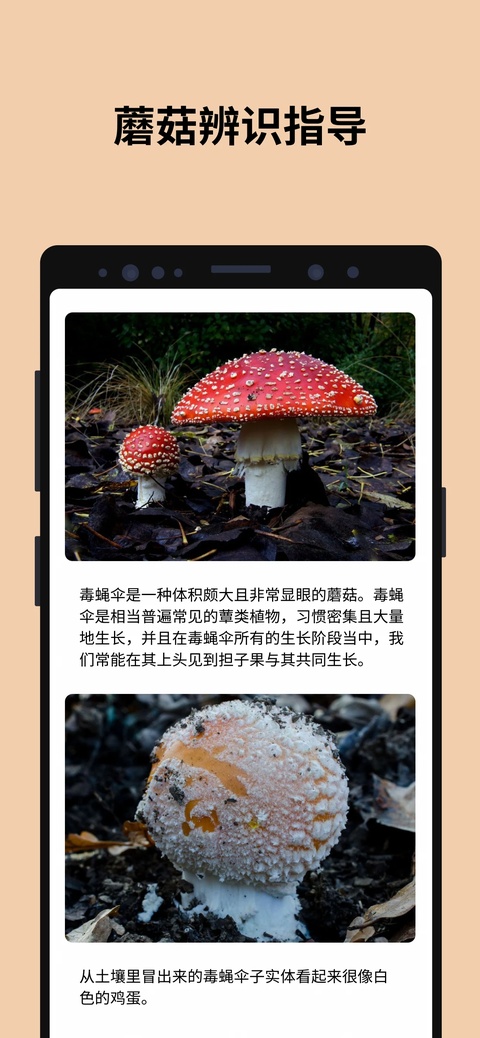 蘑菇识别截图2