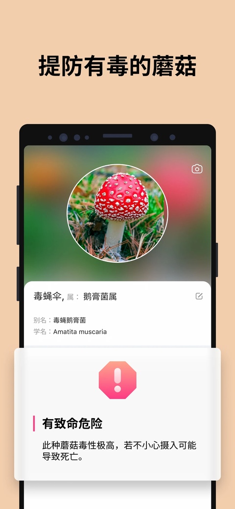 蘑菇识别