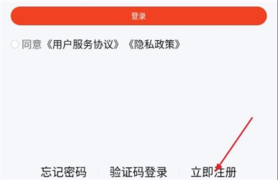 右豹