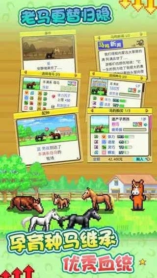 赛马牧场物语安卓版截图2