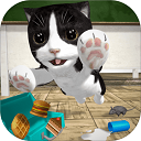 猫咪模拟器正版